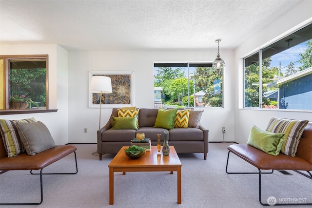 5228 56th Ave S, Seattle, WA 98118 - carpeted living area featuring plenty of natural light and a textured ceiling