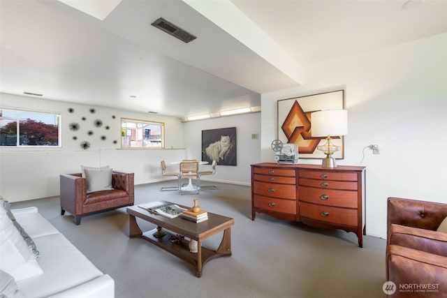 5228 56th Ave S, Seattle, WA 98118 - view of carpeted living room