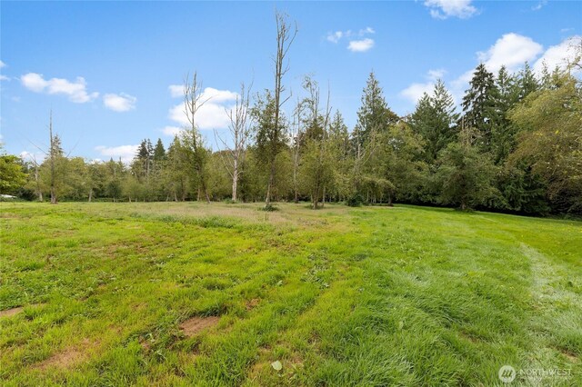15131 257th Ave SE, Monroe, WA 98272 - photo 31