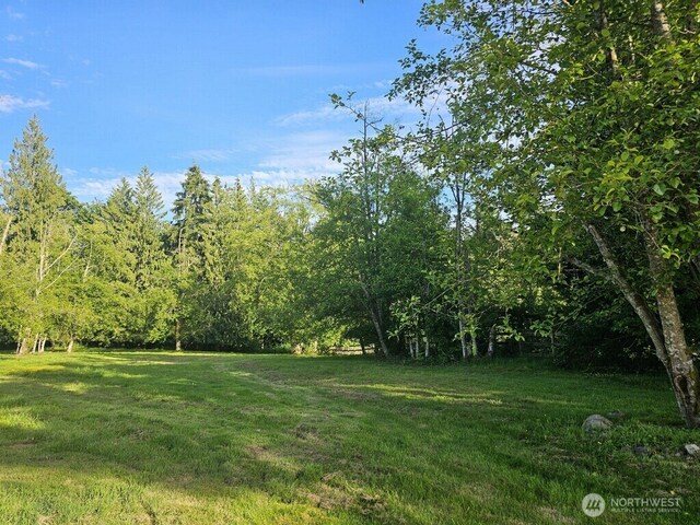 15131 257th Ave SE, Monroe, WA 98272 - photo 33