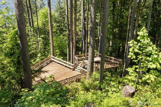 27541 SE 154th Pl, Issaquah, WA 98027 - photo 37