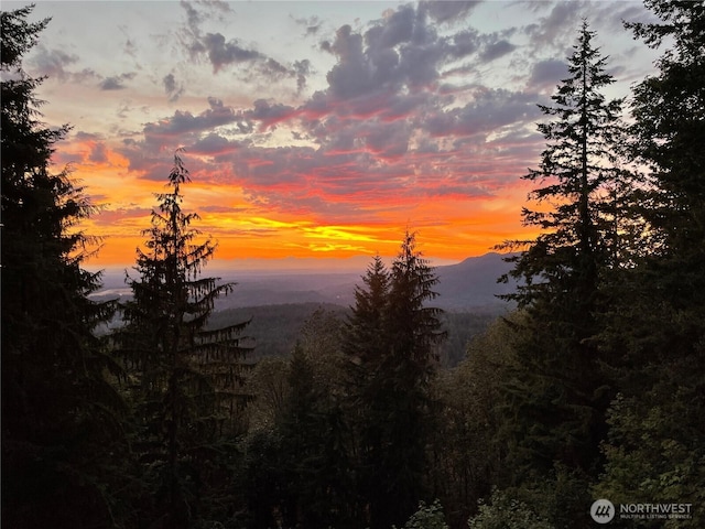 27541 SE 154th Pl, Issaquah, WA 98027 - photo 26