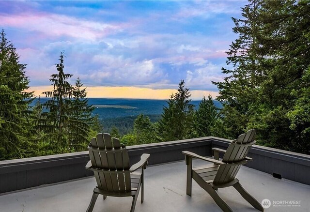 27541 SE 154th Pl, Issaquah, WA 98027 - photo 25
