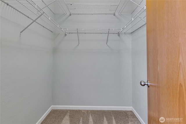 28140 239th Ave SE, Maple Valley, WA 98038 - spacious closet featuring carpet floors