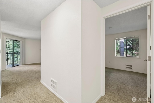 12515 NE 116th St Unit B23, Kirkland, WA 98034 - hall featuring carpet floors and plenty of natural light