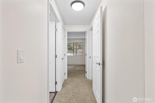 12515 NE 116th St Unit B23, Kirkland, WA 98034 - hallway featuring carpet flooring and a textured ceiling