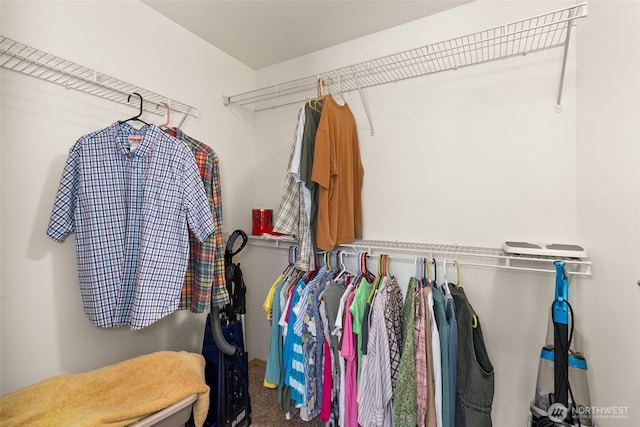 401 Huntting Rd, Silver Creek, WA 98585 - walk in closet with carpet flooring