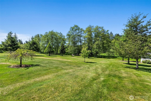 401 Huntting Rd, Silver Creek, WA 98585 - view of green lawn