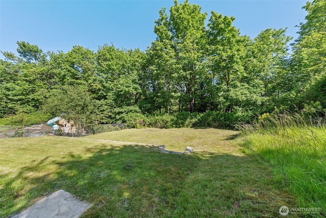 11401 69th Pl S, Seattle, WA 98178 - view of grassy yard