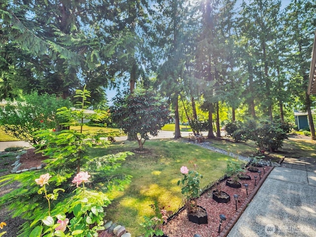 713 220th St SW, Bothell, WA 98021 - view of grassy yard