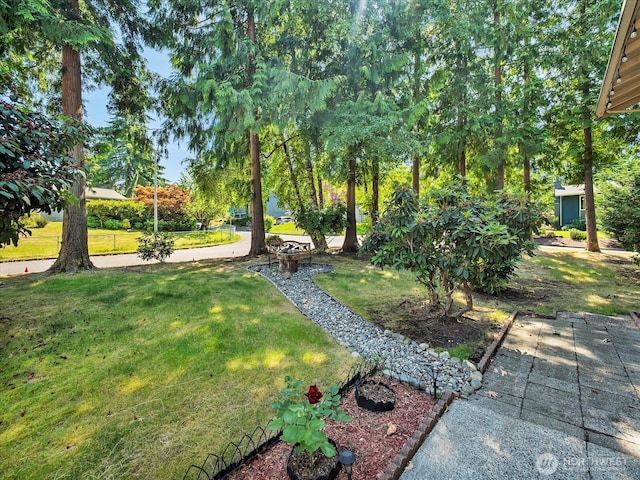 713 220th St SW, Bothell, WA 98021 - view of green lawn
