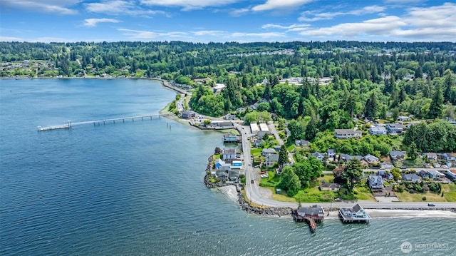 1811 Bay St, Port Orchard, WA 98366 - aerial overview of property's location with a forest and a nearby body of water