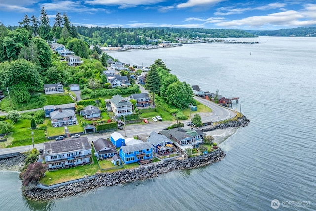 1811 Bay St, Port Orchard, WA 98366 - aerial view of residential area with a nearby body of water