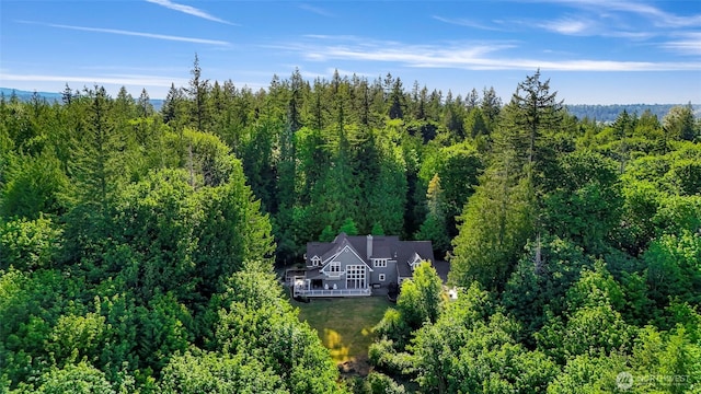 2030 290th Ave NE, Carnation, WA 98014 - photo 39
