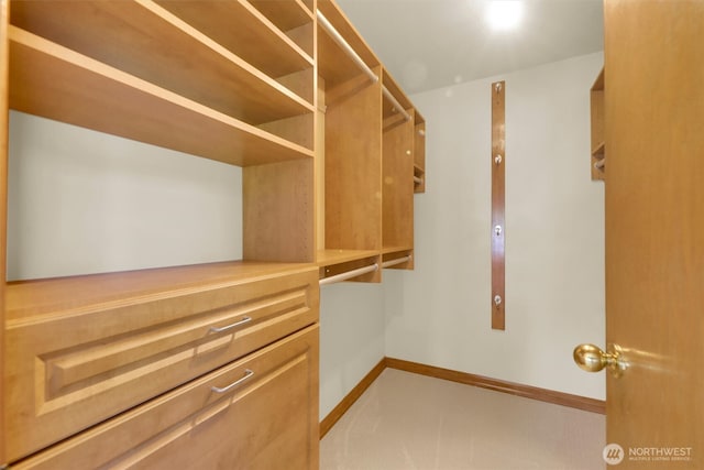 14937 104th Ave NE, Bothell, WA 98011 - view of spacious closet