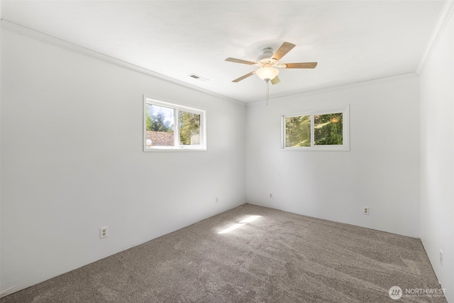 212 Old Black Diamond Rd, Port Angeles, WA 98363 - photo 23