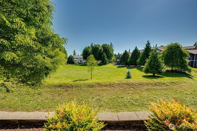 10800 SE 17th Dr Unit F70, Vancouver, WA 98664 - photo 20