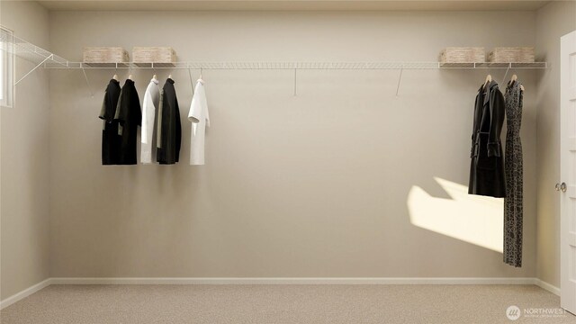 13485 200th Ave SE, Monroe, WA 98272 - walk in closet featuring carpet flooring