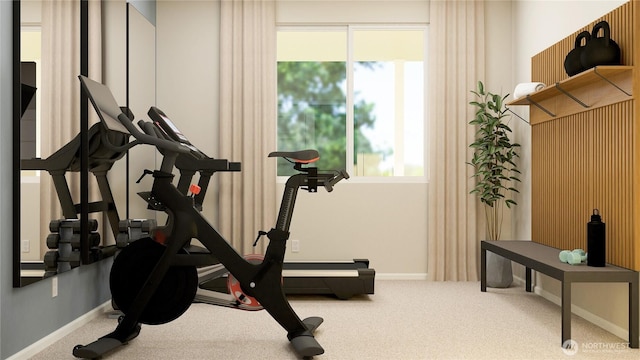 13485 200th Ave SE, Monroe, WA 98272 - exercise area featuring carpet flooring and baseboards
