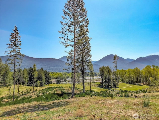 0 Craig Rd Lot A1, Packwood, WA 98361