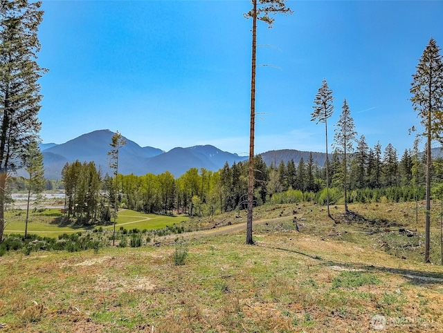 0 Craig Rd Lot A1, Packwood, WA 98361