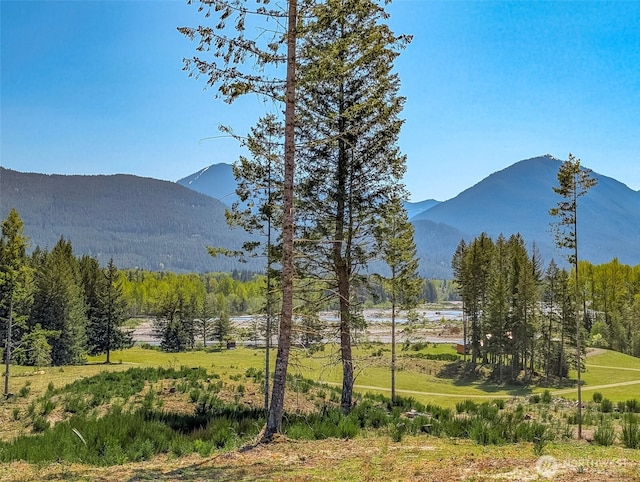 0 Craig Rd Lot A1, Packwood, WA 98361