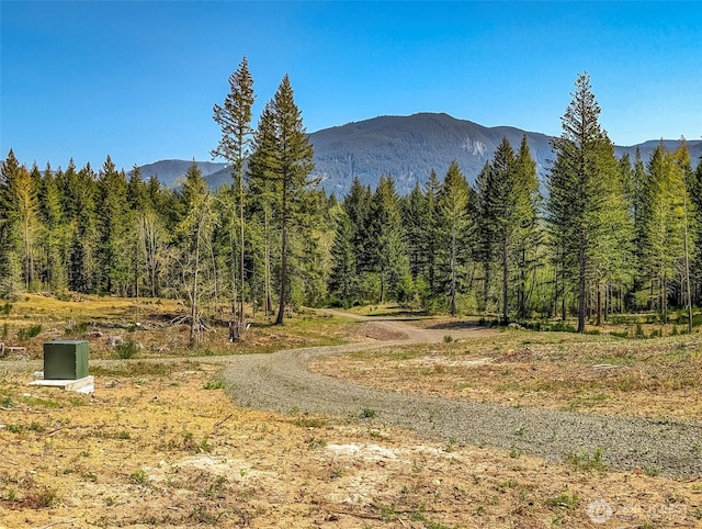 0 Craig Rd Lot A1, Packwood, WA 98361