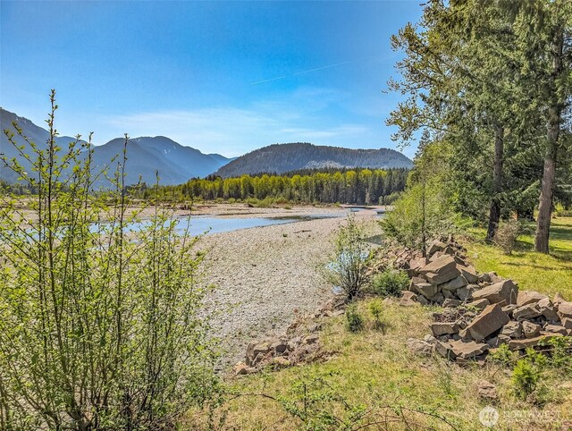 0 Craig Rd Lot A1, Packwood, WA 98361