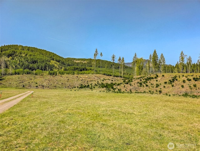 0 Craig Rd Lot A1, Packwood, WA 98361