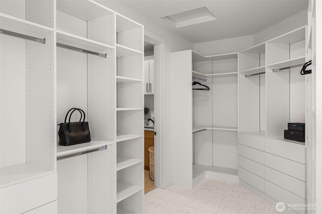1516 131st Ave NE, Lake Stevens, WA 98258 - walk in closet with a sink