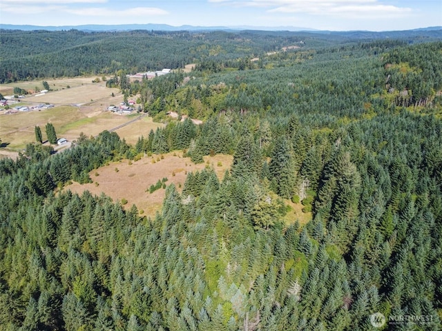 157 Reinke Rd, Centralia, WA 98531 - photo 3