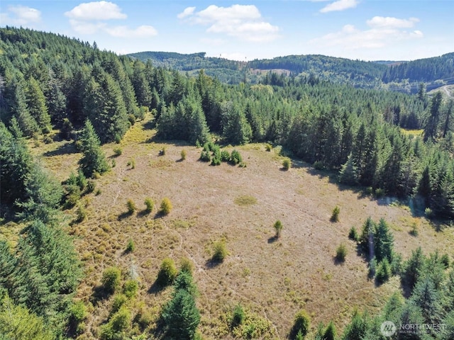 157 Reinke Rd, Centralia, WA 98531 - photo 4