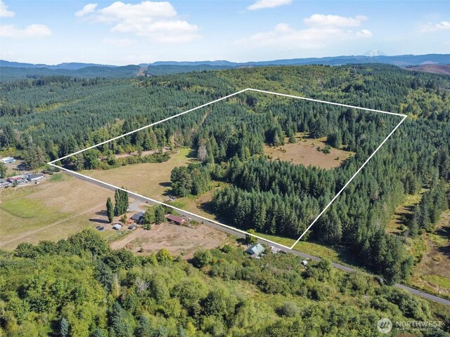 157 Reinke Rd, Centralia, WA 98531 - photo 5