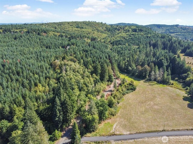157 Reinke Rd, Centralia, WA 98531 - photo 9