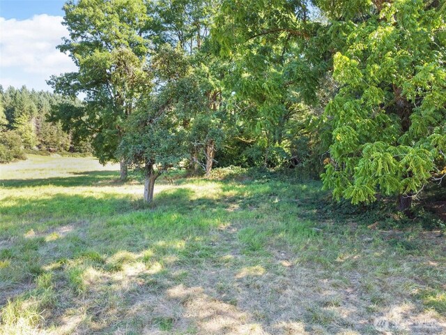 157 Reinke Rd, Centralia, WA 98531 - photo 10