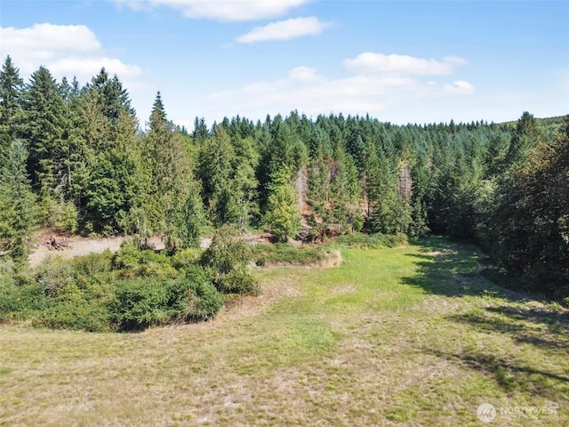 157 Reinke Rd, Centralia, WA 98531 - photo 11