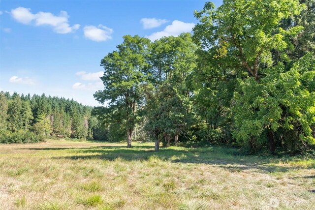 157 Reinke Rd, Centralia, WA 98531 - photo 13