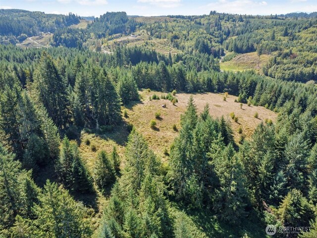 157 Reinke Rd, Centralia, WA 98531 - photo 15