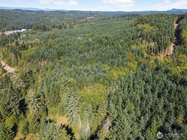 157 Reinke Rd, Centralia, WA 98531 - photo 16