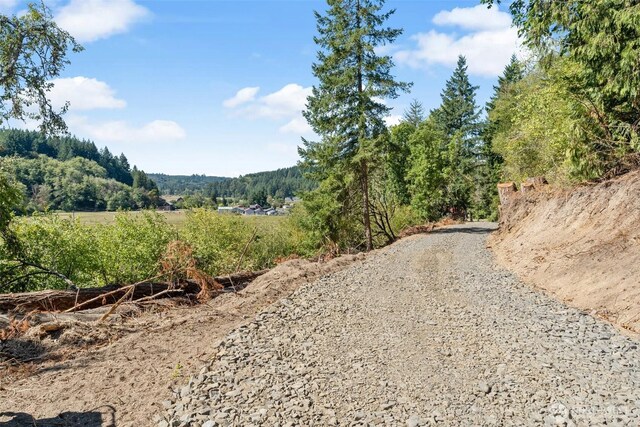 157 Reinke Rd, Centralia, WA 98531 - photo 22