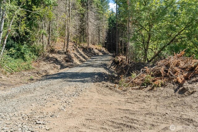 157 Reinke Rd, Centralia, WA 98531 - photo 23