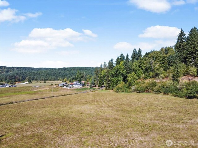 157 Reinke Rd, Centralia, WA 98531 - photo 26