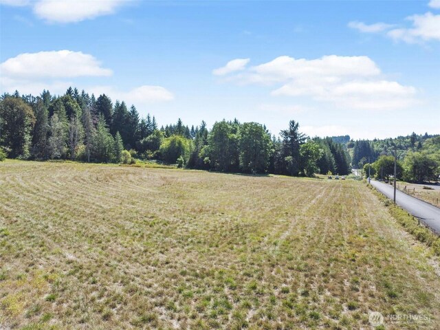 157 Reinke Rd, Centralia, WA 98531 - photo 27