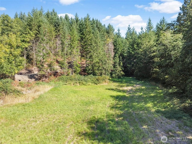 157 Reinke Rd, Centralia, WA 98531 - photo 28