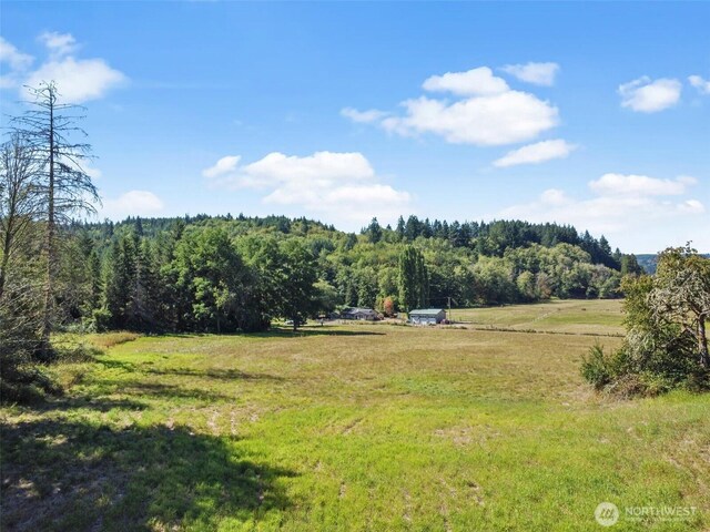 157 Reinke Rd, Centralia, WA 98531 - photo 29