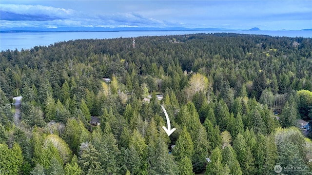 25 Burns Way, Point Roberts, WA 98281