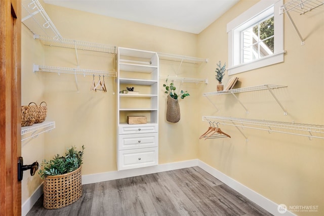 884 Saratoga Way, Camano Island, WA 98282 - walk in closet with wood finished floors