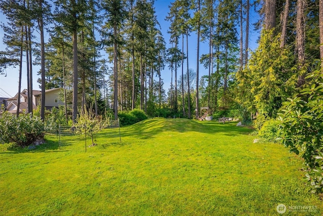 884 Saratoga Way, Camano Island, WA 98282 - view of grassy yard