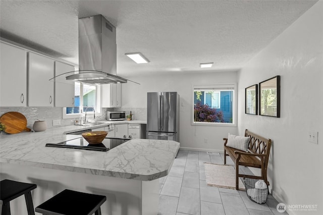 659 NW New York Ave, Chehalis, WA 98532 - kitchen featuring appliances with stainless steel finishes, island range hood, a sink, a peninsula, and light countertops
