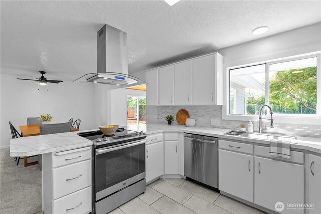 659 NW New York Ave, Chehalis, WA 98532 - kitchen featuring appliances with stainless steel finishes, island range hood, a peninsula, a sink, and healthy amount of natural light